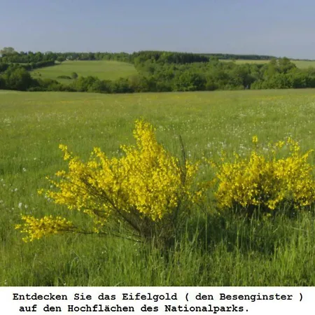 Gross B Schleiden