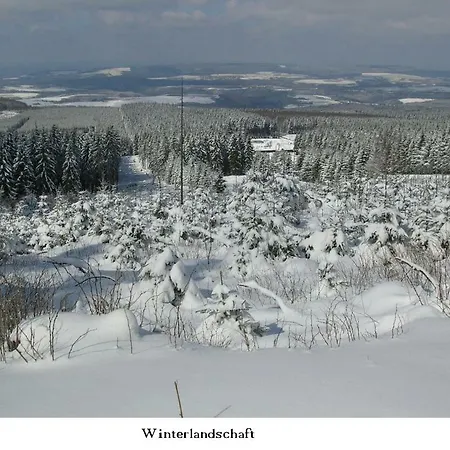 Διαμέρισμα Gross B Schleiden