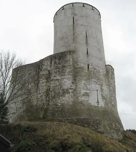 Gross B Lejlighed Schleiden