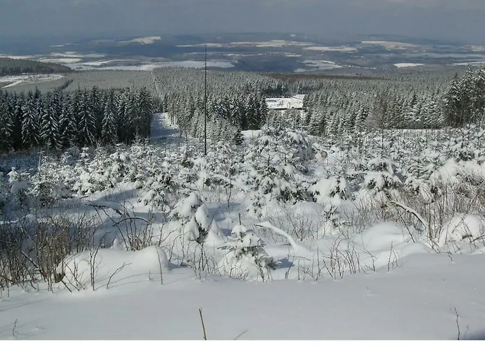 Lejlighed Gross B Schleiden